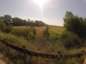 Plantações antes da cena do crime