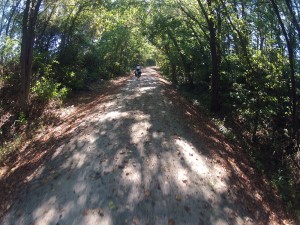 Katy Trail, plana, arborizada