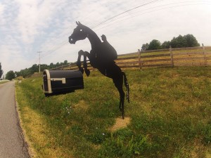 Caixa de correio de um centro de hipismo