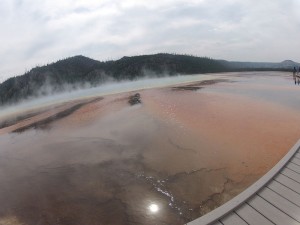 Chromatic Pool Chromatic Pool