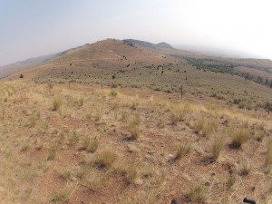 Rolling Hills, o retorno