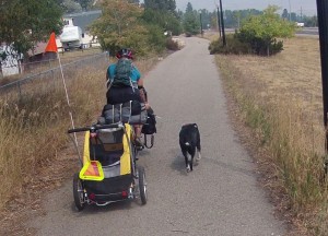 Viajando de bike com o cão