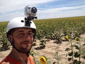 Girassóis a perder de vista Girassóis a perder de vista