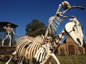 carroça esquelética