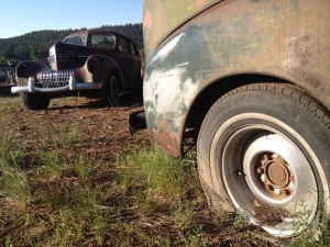 Quer andar de carro velho, amor