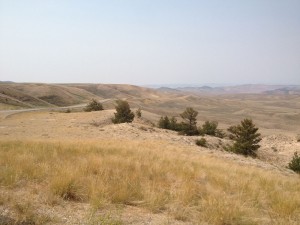 IMG_1423 Wyoming: montes lindos com palheta de cores limitada