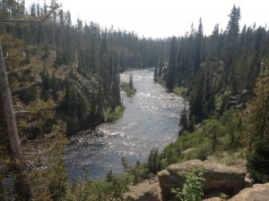 Lewis Creek em Yellowstone