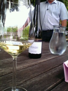 Taça de vinho branco em primeiro plano, sobre mesa de madeira, e paisagem com parreiras ao fundo.